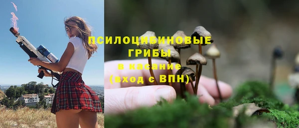МДМА Горняк