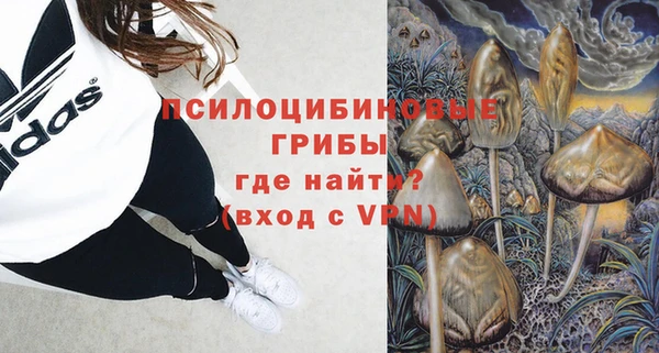 ALPHA PVP Горно-Алтайск