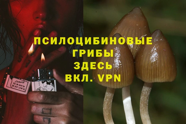 мяу мяу мука Горнозаводск