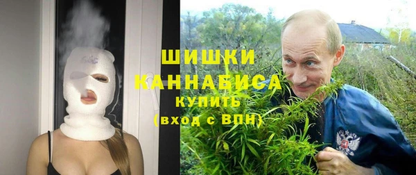 ALPHA PVP Горно-Алтайск