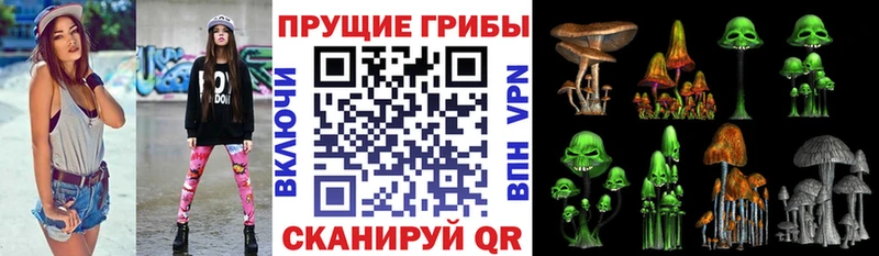 Купить закладки  Колпашево  Галлюциногенные грибы мицелий 